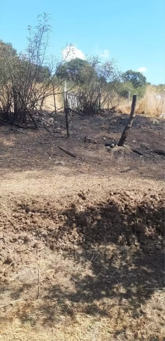 Çanakkale'de otluk alanda çıkan yangın ormana sıçramadan söndürüldü