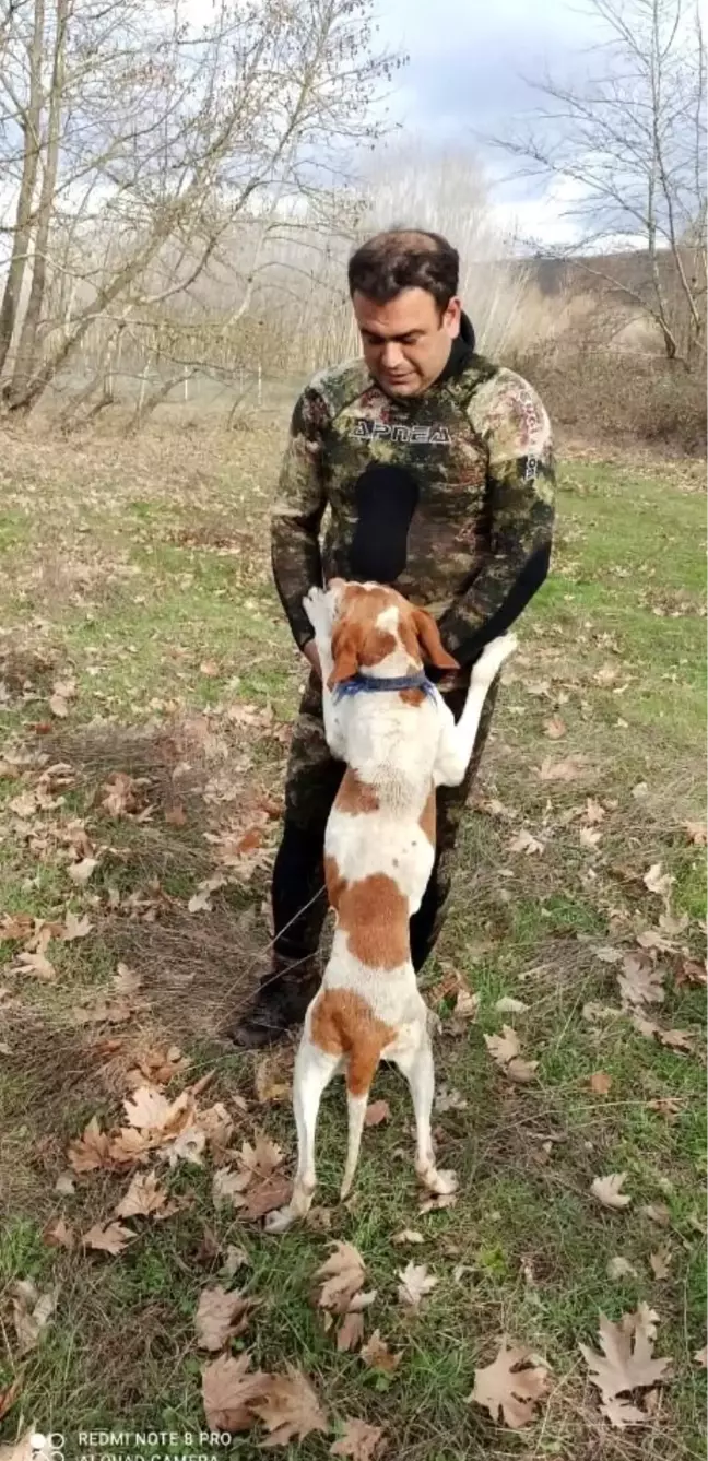 Simav Çayı'nda mahsur kalan köpek kurtarıldı