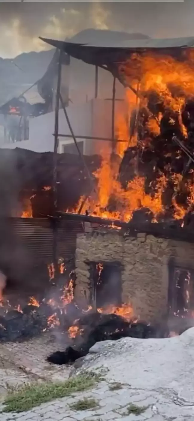 Erzurum'un Tortum ilçesinde çıkan yangında 2 ev, 1 ahır ve 1 samanlık kül oldu