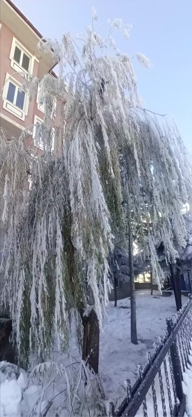 Tokat'ta Şiddetli Soğuk Hava Hayatı Olumsuz Etkiledi