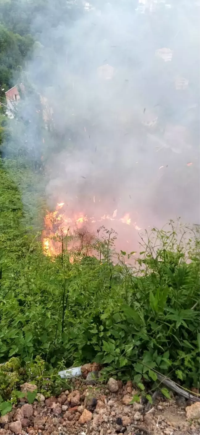 Son dakika! Zonguldak'ta çıkan yangın korkuttu