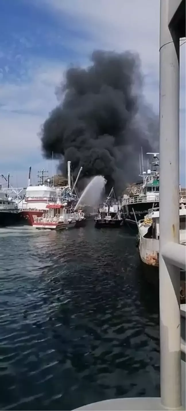 Rumeli Feneri'nde Balık Ağları Yangınla Söndürüldü