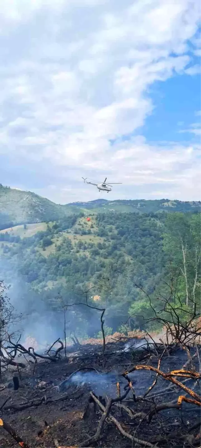 Son dakika: Çanakkale'deki orman yangını kontrol altında