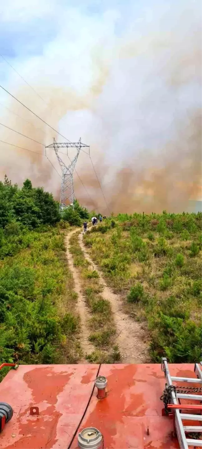 Yalova'da Orman Yangınına Havadan ve Karadan Müdahale Devam Ediyor