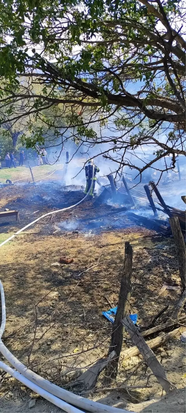 Denizli'de Ahır Yangını: 85 Küçükbaş Hayvan Telef Oldu