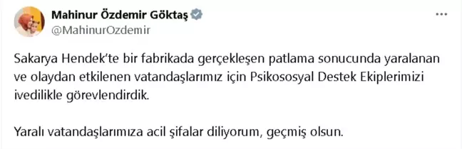 Bakan Göktaş'tan Sakarya Hendek'teki Patlama ile İlgili Açıklama