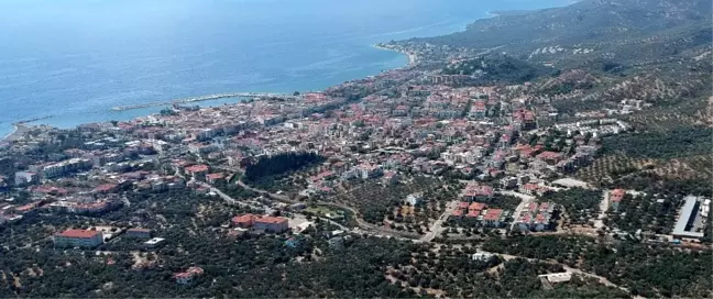 Kazdağları'nda villa yapımı için 2,5 milyon zeytin ağacı kesildi, acı tablo havadan görüntülendi