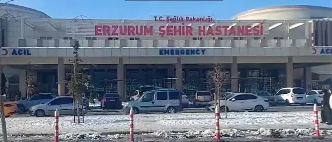 Erzurum'da Araçta Hareketsiz Bulunan Kişi Hayatını Kaybetti