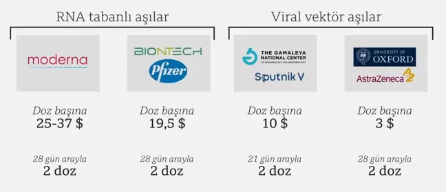 Sinovac aşısı: CoronaVac hakkında neler biliniyor?