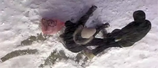 Erzurum'da Kar ve Dondurucu Soğuk: Onlarca Kişi Yaralandı