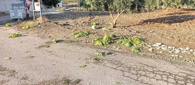 Kilis'te Şiddetli Yağmur ve Dolu Zarara Yol Açtı