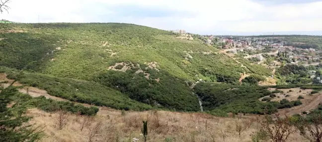 Başkan Büyükakın: