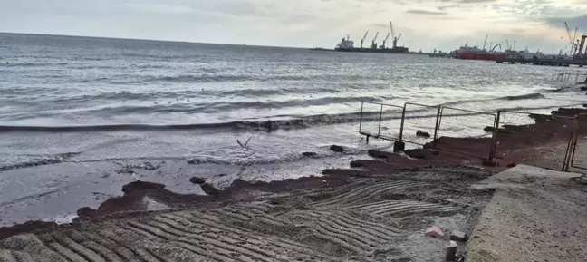 Tekirdağ Sahili Poyrazla Kırmızı Yosunla Kaplandı