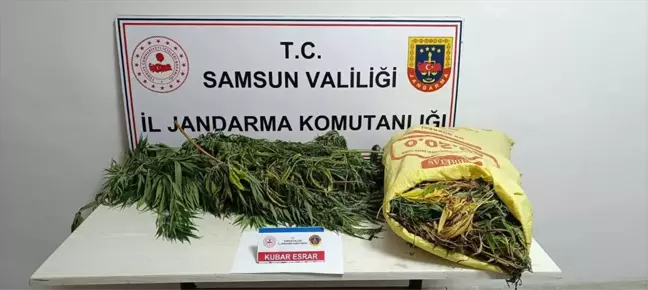 Samsun'da 12 Kilogram Esrar Ele Geçirildi