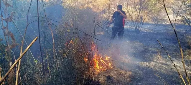 Mardin'de Orman Yangını: Yüzlerce Dönüm Alan Kül Oldu