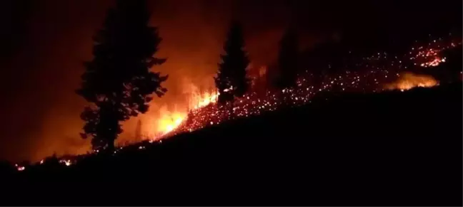 Trabzon'da çıkan orman yangınları ile ilgili Valilik'ten açıklama yapıldı