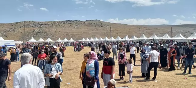 Son dakika haberleri | Iğdırlılar soluğu 2. Balık Gölü Festivali'nde aldı
