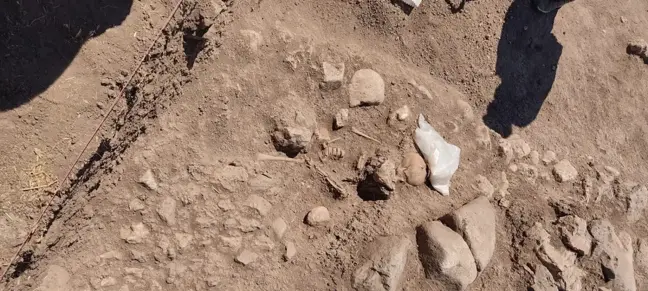 Domuztepe Höyüğü'nde Orta Çağ'da yaşamış çocuğun iskeleti bulundu