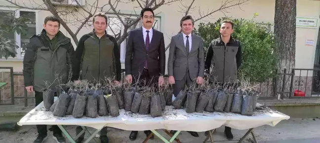 Son dakika haberi: Selendili üreticilere hünnap fidanı dağıtıldı