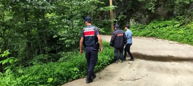 Artvin haberi... Artvin'de çay bohçasının peşinden giderken kaybolan şahıs sağ olarak bulundu