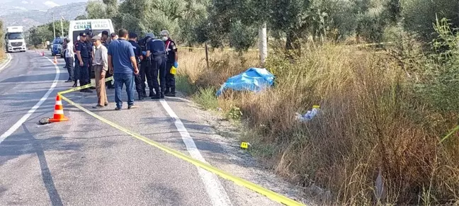Son dakika haber: Akşam eve dönmedi, yol kenarında ölü bulundu