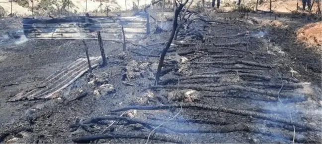 Çanakkale'de Ağıl Yangınında 150 Oğlak Öldü