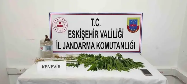Eskişehir'de Mezarlıkta Kenevir Eken Şahıs Yakalandı