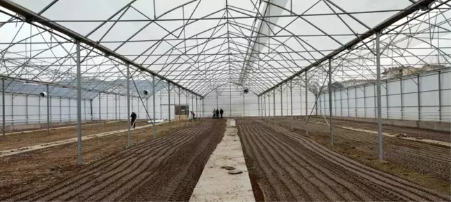 Bilecik'in Osmaneli ilçesinde modern sera tesisi kuruldu