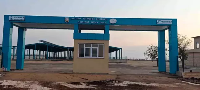 Şanlıurfa Büyükşehir Belediyesi Viranşehir'de Canlı Hayvan Pazarı Yapımını Tamamladı