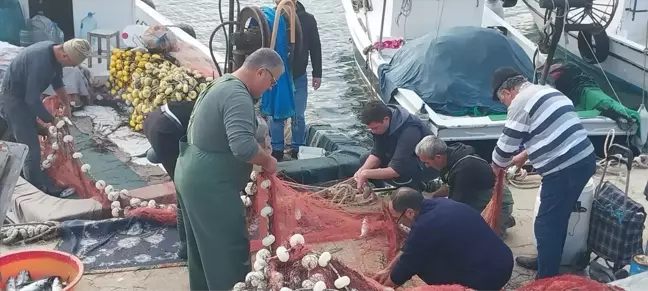 Çanakkale'de Balıkçılar Binlerce Lüfer Yakaladı