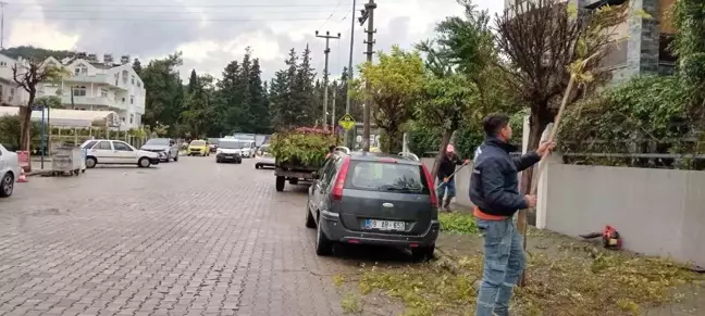 Marmaris Belediyesi Park ve Bahçeler Müdürlüğü Çalışmalarına Devam Ediyor