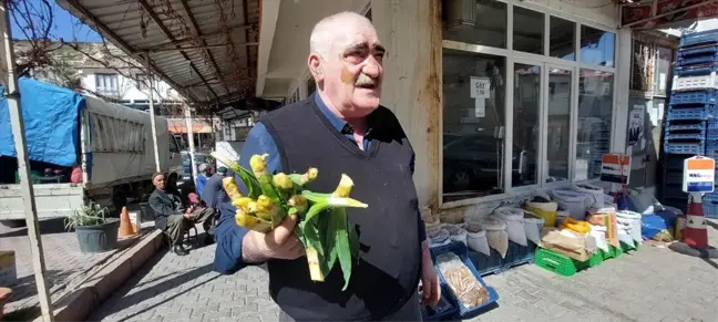 Çemişgezek'te İlkbaharın Gelişiyle Çiriş Otu Satışa Başladı