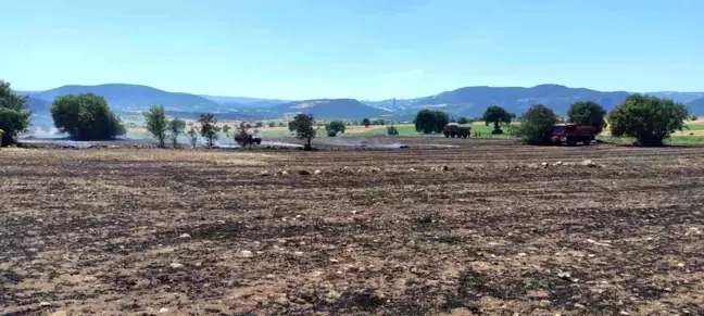 Bilecik'te Medeli köyünde çıkan yangın kontrol altına alındı