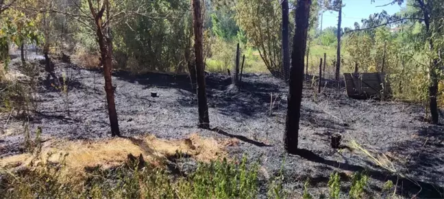 Sivas Ulaş'ta çıkan yangın itfaiye tarafından söndürüldü