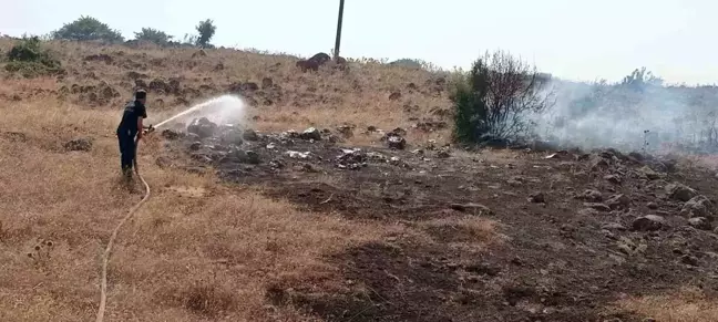 Hatay'da otluk alanda çıkan yangın söndürüldü