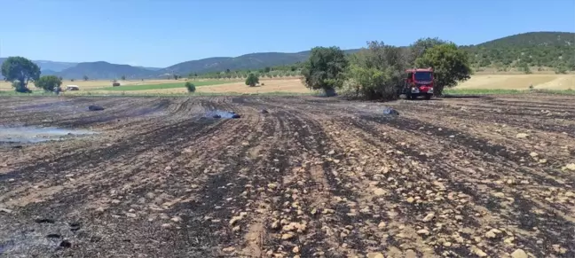 Bilecik'te çıkan yangının sebebiyle ilgili kişi yakalandı