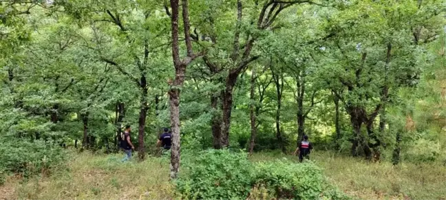 Zonguldak'ta Kaybolan Şahıs Ormanlık Alanda Bulundu