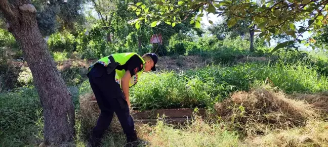 Aydın'da Elektrik Direği ve Kablolarının Çalınması Olayında Gözaltına Alınan 3 Kişi Serbest Bırakıldı