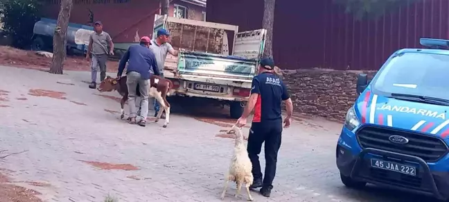 Manisa'da başlayan yangın Salihli ilçesine kadar ilerledi