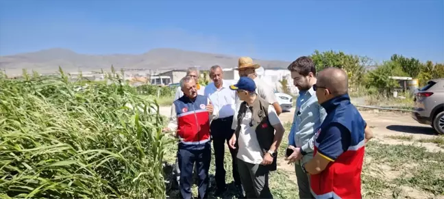 Niğde'de TAKEP kapsamında yem bitkisi hasadı yapıldı