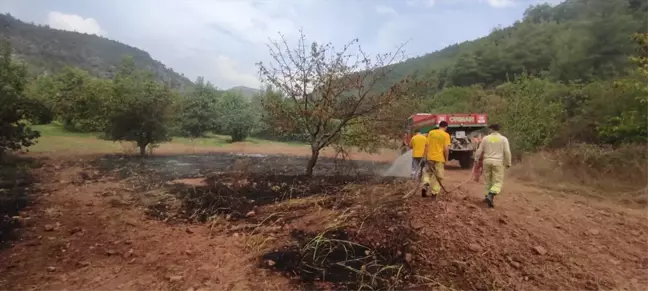 Bilecik'te Orman Yangını Kontrol Altına Alındı