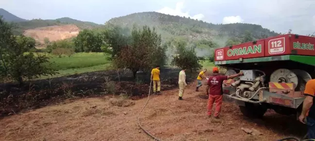 Bilecik'te Orman Yangını Kısa Sürede Söndürüldü