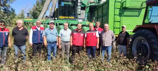 Söke Pamuğu Hasadı Başladı: AB Tescilli Üretim Alanları İncelendi