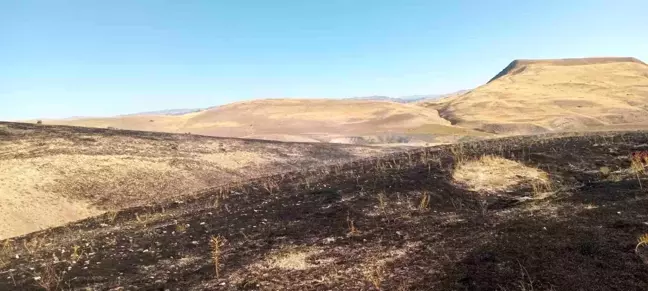 Malatya'da Yüzlerce Dönümlük Alanda Anız Yangını Söndürüldü