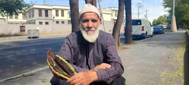 Diyarbakırlı Abdullah Tuğrul'un Keçiboynuzu Deneyimi: Hem Kendine Hem Hayvanlarına Faydası