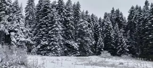 Bolu'nun Yüksek Kesimlerinde Kar Yağışı