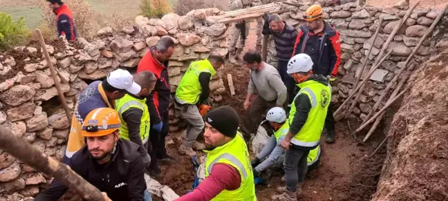 Siirt'te Ahır Tavanı Çöktü, 3 Hayvan Telef Oldu