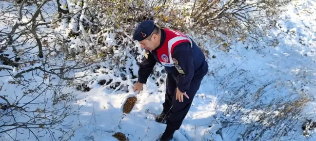 Yozgat'ta Jandarmadan Yaban Hayvanlarına Destek