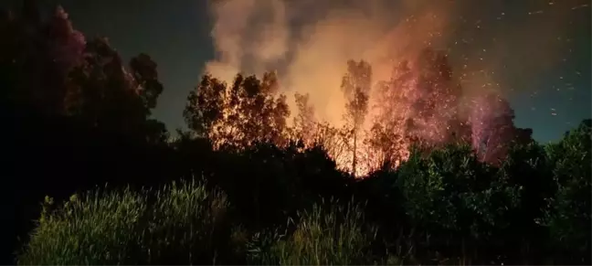 Hatay'da Sazlık Alanda Yangın Kontrol Altına Alındı