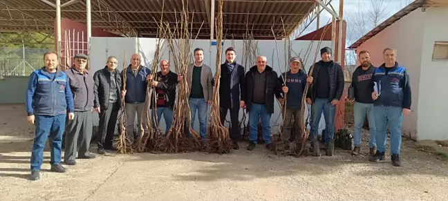 Pazaryeri'nde Meyve Fidanı Dağıtımıyla Ekonomik Kalkınma Hedefleniyor